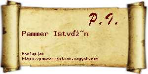 Pammer István névjegykártya